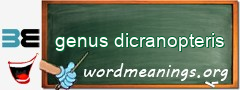 WordMeaning blackboard for genus dicranopteris